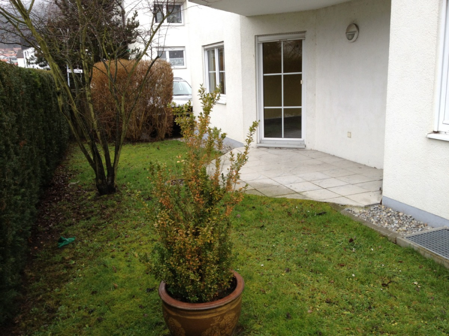 Provisionsfrei: 3,5 Zimmer Wohnung 90m² / 150m vom Bodensee entfernt mit Garten, Garage, … - Ein Topfstrauch steht auf einer Wiese in der Nähe einer gefliesten Veranda vor einem weißen Gebäude. Im Hintergrund sind beschnittene Hecken, ein kleiner Baum und Fenster zu sehen. (45578)