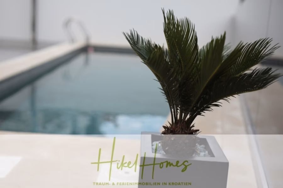 Erstbezug-Neubau Villa / Luxus Ausstattung / Pool / … - Im Vordergrund steht eine kleine Palme in einem quadratischen Topf. Dahinter ist ein unscharfer Blick auf einen Swimmingpool mit Stufen zu sehen, die ins Wasser führen. Unten ist der Text „Hikel Homes“ zu sehen. (42551)